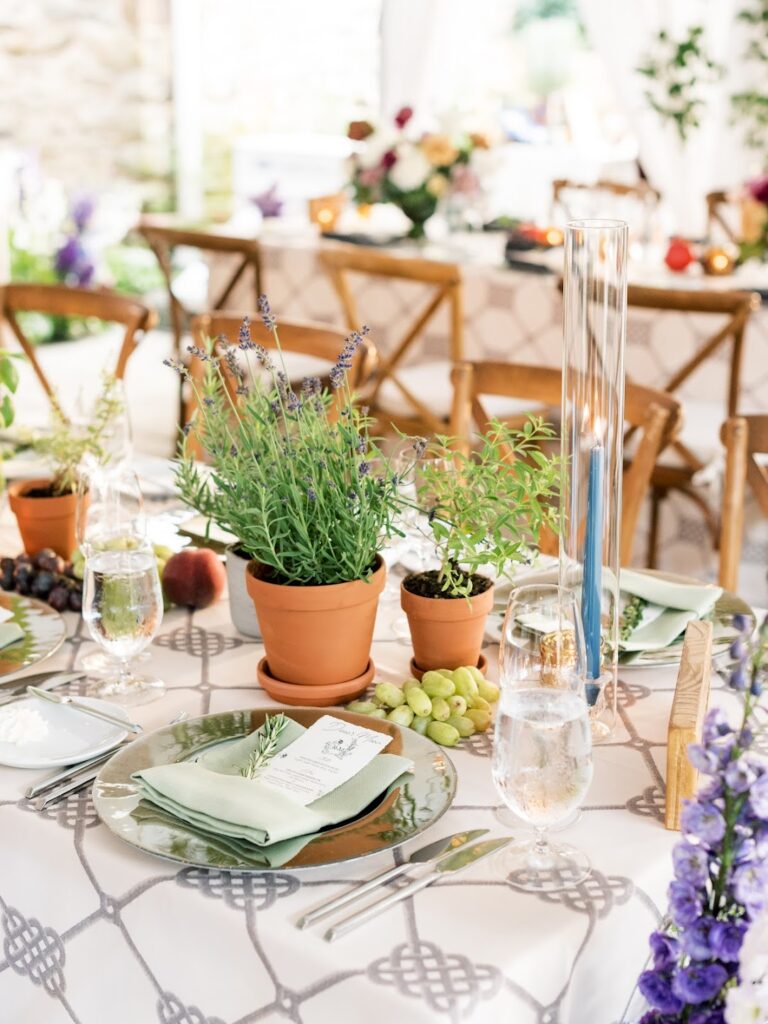a mixture of potted herbs and lush flowers on a trellis patterned tabletop